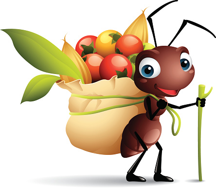 Cartoon graphics of ant with sack full of berries