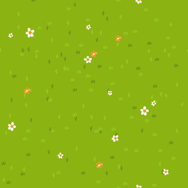 Cartoon grass Cartoon grass with small flowers daisy and marigold. Grass field, background, texture grass patterns stock illustrations