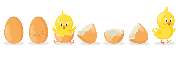 cartoon-hatched-easter-egg-cracked-chicken-eggs-with-cute-chicken-vector-id1286698341?b=1&k=6&m=1286698341&s=170667a&w=0&h=  ...