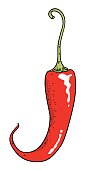 Cartoon image of chilli pepper. An artistic freehand picture.