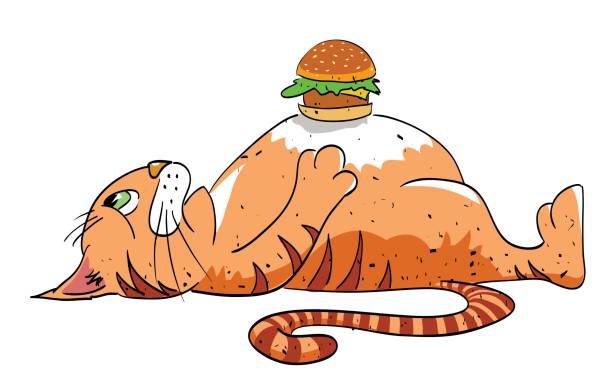 Full Stomach Illustrations Royalty Free Vector Graphics Full Stomach Illustrations Royalty Free Vector Graphics