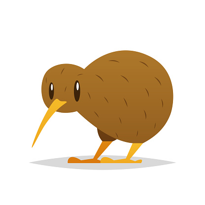 Cartoon kiwi bird vector isolated illustration