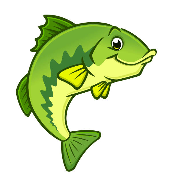 Cartoon Largemouth Bass Vector illustration of a happy largemouth bass for design element river clipart stock illustrations