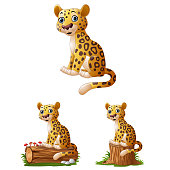 Illustration of Cartoon leopard sitting collections set