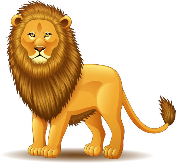 Cartoon Of A Lion Snarling Illustrations, Royalty-Free Vector Graphics ...