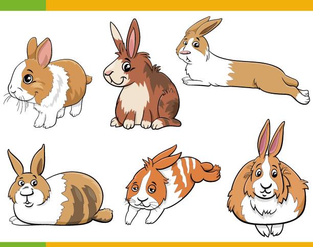 bildbanksillustrationer, clip art samt tecknat material och ikoner med cartoon miniature rabbits animal characters set - dwarf rabbit