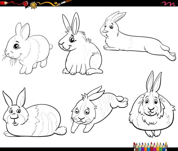 bildbanksillustrationer, clip art samt tecknat material och ikoner med cartoon miniature rabbits characters set coloring book page - dwarf rabbit