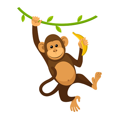 A cartoon monkey