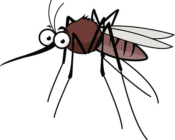 stockillustraties, clipart, cartoons en iconen met cartoon mosquito - muggen