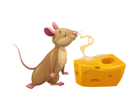 Cartoon mouse and steaming cheese. Cute vector rat