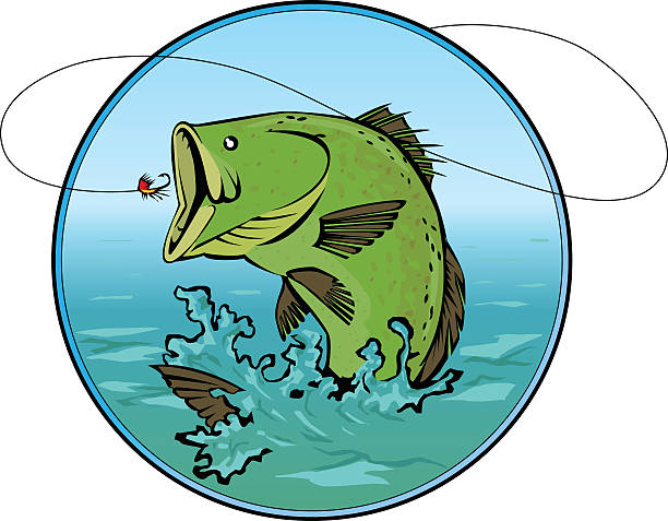 Cartoon of bass swallowing bait totaly awesome bass fish jumping out of the water trying to get that hook bass fish jumping stock illustrations
