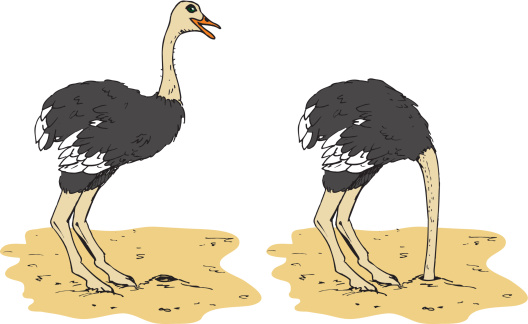 Cartoon ostrich putting head in the sand