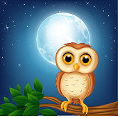 Illustration of Cartoon owl on the tree branch 