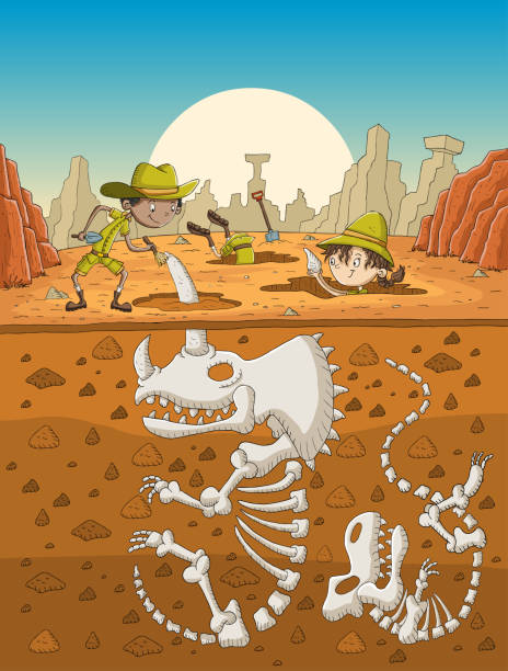 cartoon paläontologie kinder arbeiten an ausgrabungen. - archäologe stock-grafiken, -clipart, -cartoons und -symbole
