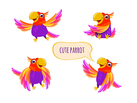 Cartoon parrot character. Cute feathered bird with colored wings, funny exotic parrot, various action poses, vector clip art isolated.