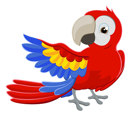 Cartoon Parrot Character
