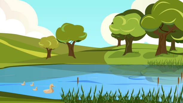 Cartoon Peaceful Scenery View of River Shore Bank Cartoon Peaceful Scenery View of Riverside Vector Illustration. River Bank Shore, Reed Cane. Blue Water Duck Bird. Countryside landscape. Green Hill Grass Tree. Nature Recreation, Travel, Trip duck pond stock illustrations