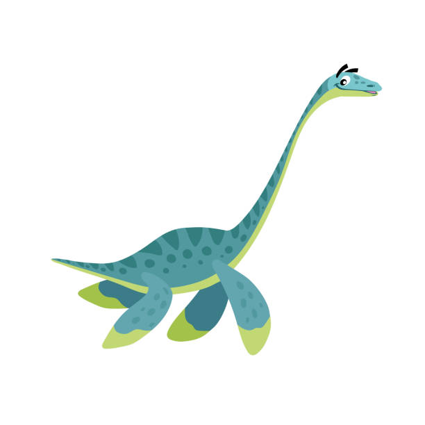 Cartoon Plesiosaurus. Flat simple style water dinosaur. Jurassic world sea animal. Vector illustration for kid education or party design elements. Isolated on white background.  jurassic world stock illustrations