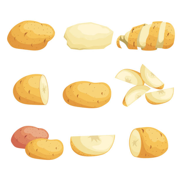 Cartoon potatoes set. Whole, sliced, peeled. Flying slices. Farm fresh vegetables. Best for market, packages. Vector illustrations collection. Cartoon potatoes set. Whole, sliced, peeled. Flying slices. Farm fresh vegetables. Best for market, packages. Vector illustrations collection. Isolated on white background. raw potato stock illustrations