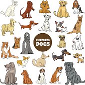 Cartoon Illustration of Purebred Dogs Animal Characters Large Set