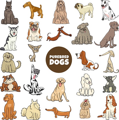 cartoon purebred dogs characters large set