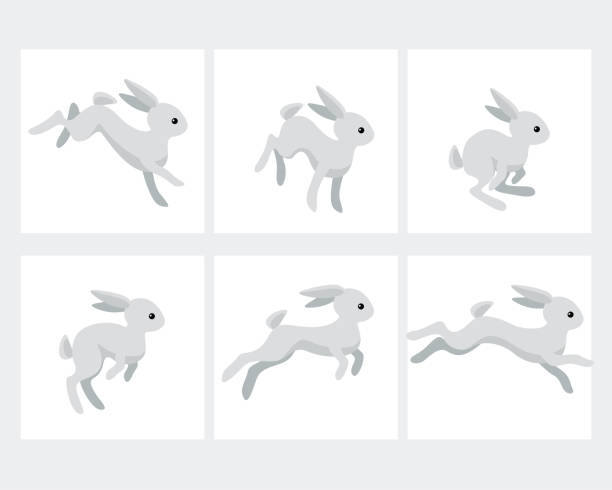 bildbanksillustrationer, clip art samt tecknat material och ikoner med tecknad kör kanin animation sprite sheet isolerad på vit bakgrund - bunny jumping