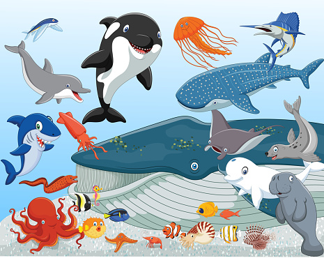 Cartoon sea animals