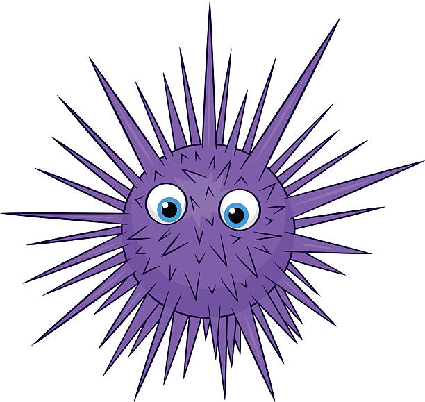cartoon-of-a-sea-urchins-illustrations-royalty-free-vector-graphics-clip-art-istock