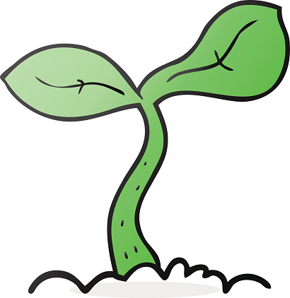 Vetores de Muda Crescimento Dos e mais imagens de Clip Art  Vetores de Muda Crescimento Dos e mais imagens de Clip Art