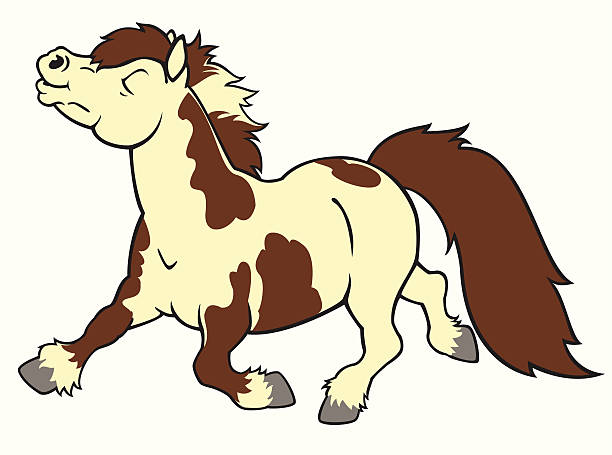 Shetland Pony Illustrations, Royalty-Free Vector Graphics & Clip Art ...