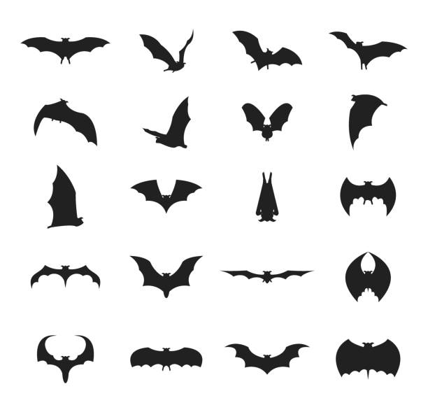 Cartoon Silhouette Black Different Bats Icon Set. Vector Cartoon Silhouette Black Different Types Bats Icon Set Concept Decorative Element Flat Design Style. Vector illustration of Icons bat stock illustrations
