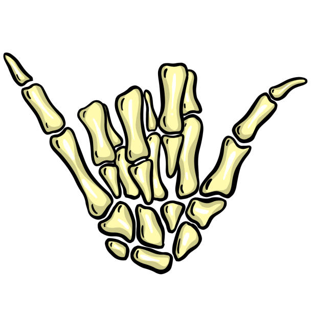 Cartoon Skeleton Hand Gesture Illustration Vector for Halloween vector art illustration