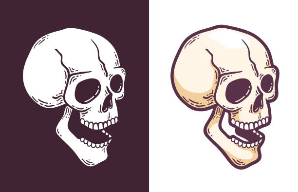 Cartoon skull with open mouth perspective view Cartoon skull with open mouth perspective view. Retro style vector illustration. skulls tattoos stock illustrations