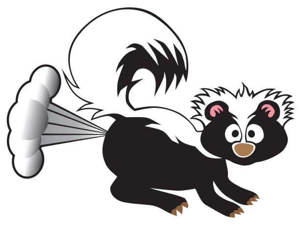 мультфильм skunk распыления - skunk spraying stock illustrations.