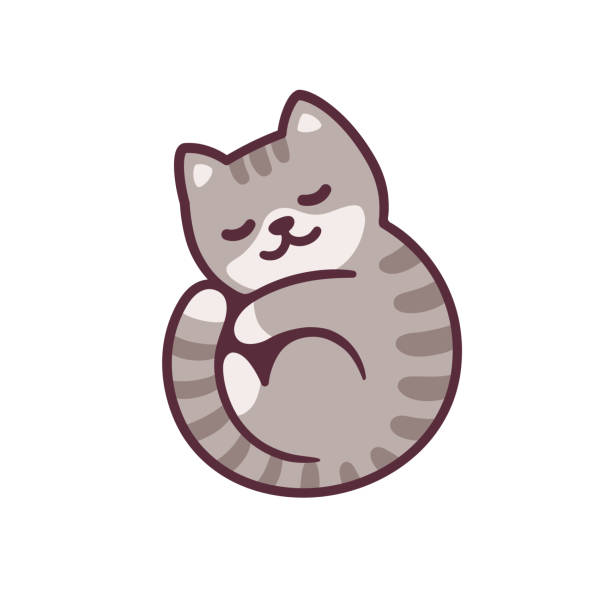 illustrations, cliparts, dessins animés et icônes de chat de sommeil de dessin animé - chaton