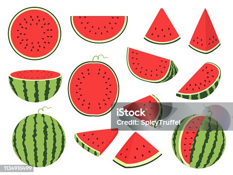 istock Cartoon slice watermelon. Green striped berry with red pulp and brown bones, cut and chopped fruit, half and sliced on white 1134910499