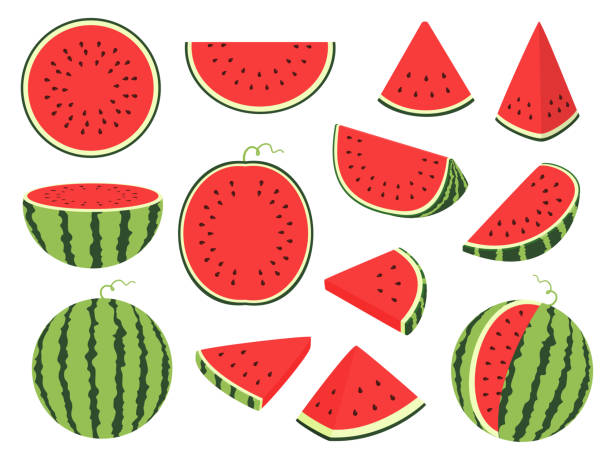 Cartoon slice watermelon. Green striped berry with red pulp and brown bones, cut and chopped fruit, half and sliced on white Cartoon slice watermelon. Green striped berry with red pulp and brown bones, cut and chopped fruit, half and sliced on white background watermelon stock illustrations
