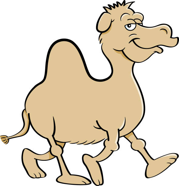 Cartoon smiling camel walking. Cartoon illustration of a smiling camel walking. desert area clipart stock illustrations