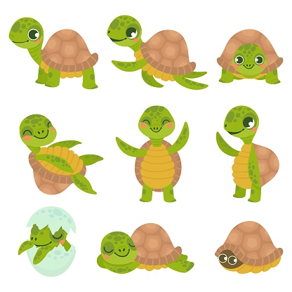 Cartoon smiling turtle. Funny little turtles, walking and swim tortoise animals vector set