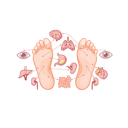 Cartoon soles of feet with marked by reflexology zones for acupuncture organs