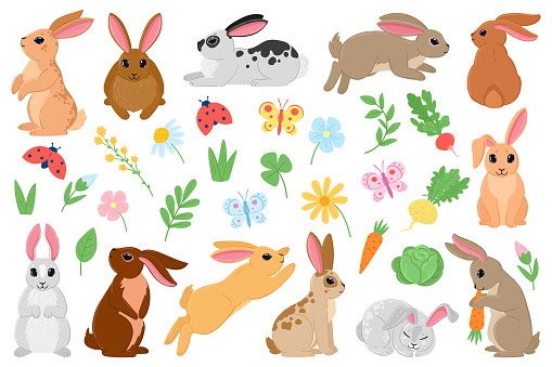 Cartoon spring bunny, cute easter rabbits with carrot and flowers. Spring bunny pets, white and brown rabbit characters vector illustration set. Easter holiday hare