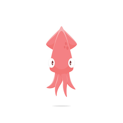Cartoon squid vector isolated