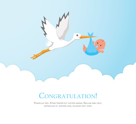 Cartoon stork in sky with baby.