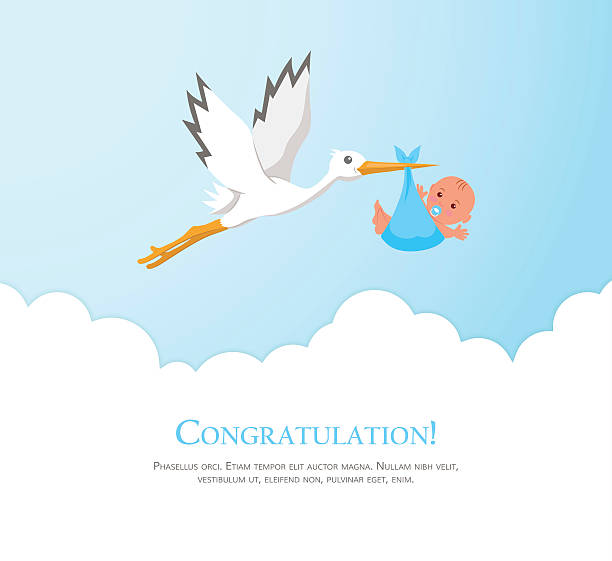 Cartoon stork in sky with baby. Cartoon stork in sky with baby. Design template for greeting card, baby shower invitation, banner. Congratulations to the newborn. Vector illustration in flat style. newborn stock illustrations