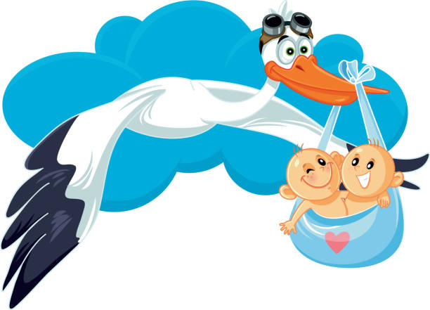 Cartoon Stork with Twins Vector Illustration Cute baby shower announcement for two babies at once twins stock illustrations