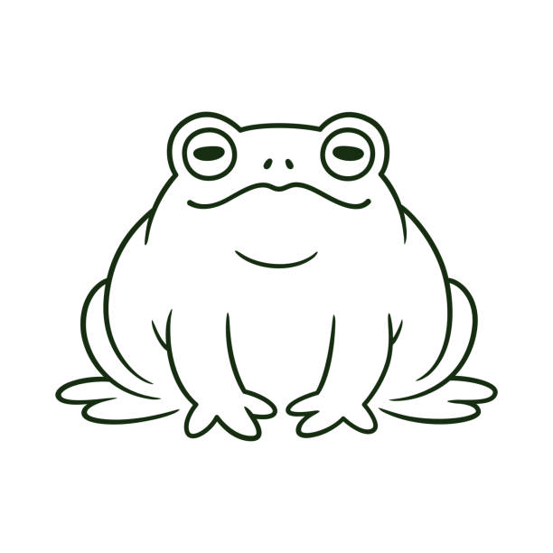 Cartoon toad drawing Cartoon toad, black and white line drawing. Funny toad sitting. Isolated vector clip art illustration. frog clipart black and white stock illustrations