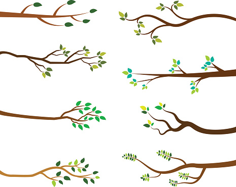 Cartoon tree branches with green leaves