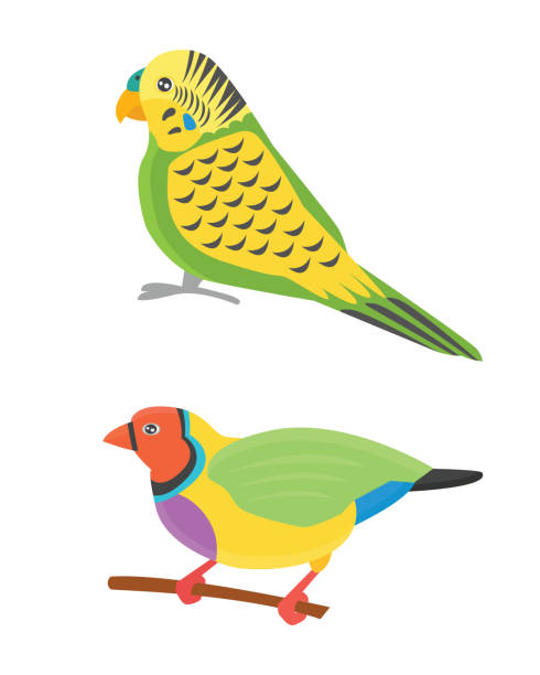 Cartoon tropical parrot wild animal bird vector illustration....