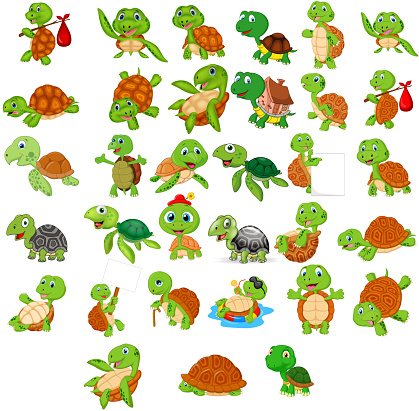 Cartoon turtle collection set