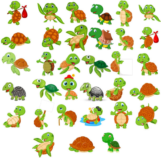 Schildkröten bilder comic - Die ausgezeichnetesten Schildkröten bilder comic ausführlich analysiert!